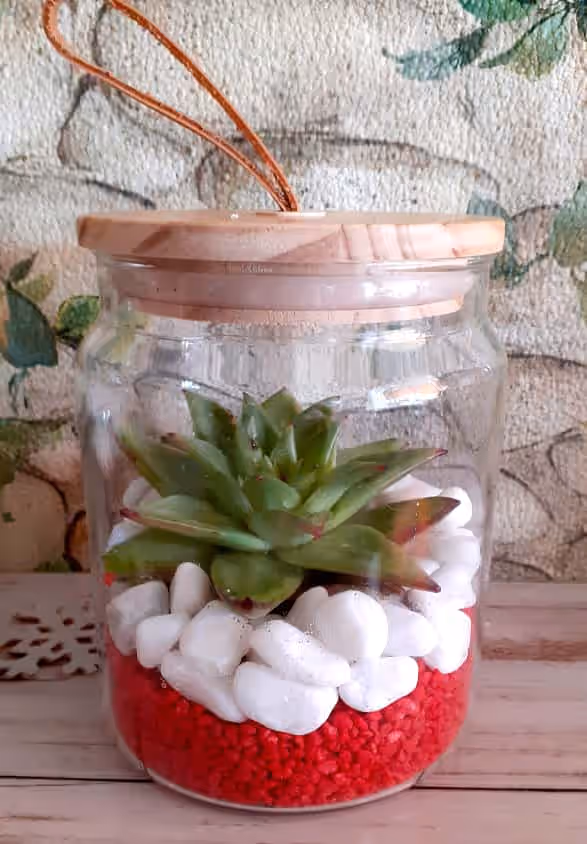 Mini-terariu Suculente cu Capac de Lemn