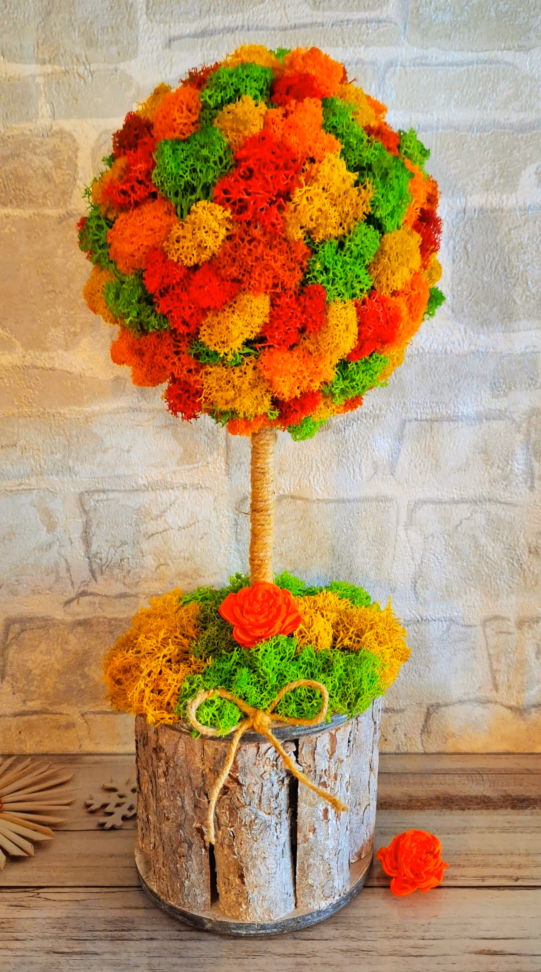 Copacel cu licheni H35cm