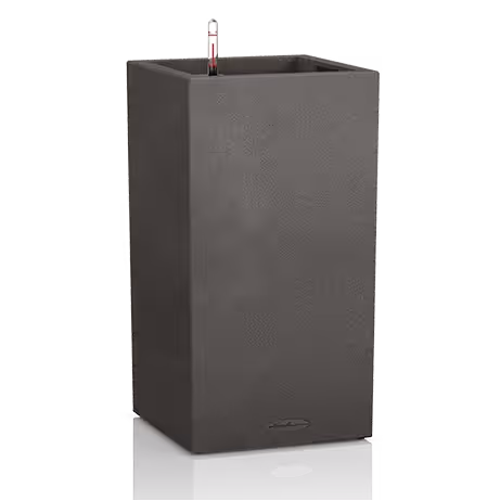 Lechuza Canto Stone High 40/76